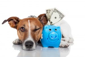 sniff out cash advance loans online
